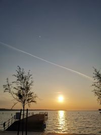 Scenic view of silhouette tree against sky during sunset