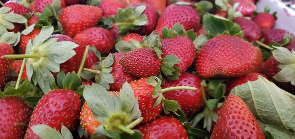 Full frame shot of strawberries