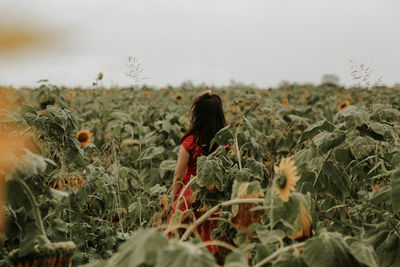 Young woman standing amidst sunflowers on field against sky