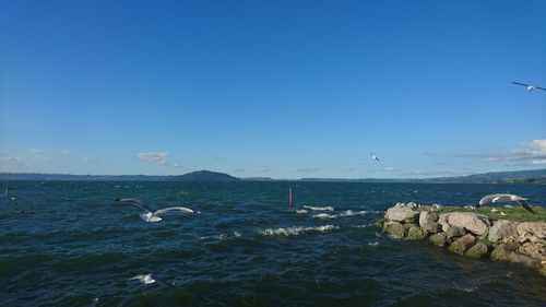 View of calm blue sea against clear sky