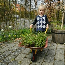 Blond boy with plants in a wheelbarrow