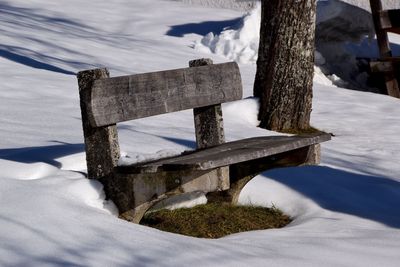 Snow covered bench by tree trunk during winter