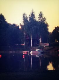 Reflection of trees in water