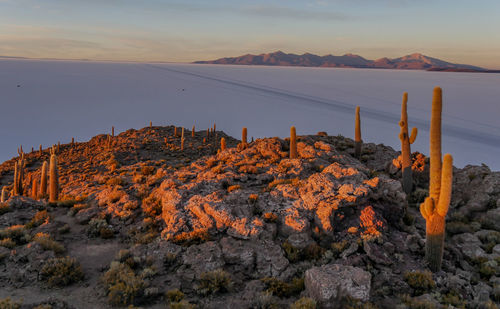 Scenic view of mountain against sky