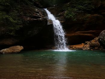 Scenic view of waterfall in forest