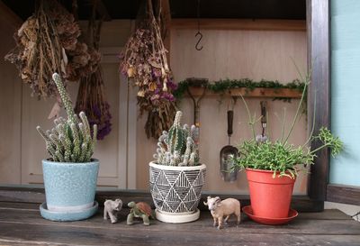 Potted plant against wall