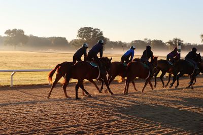 Jockeys riding horse