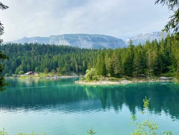 Scenic view of lake by trees against sky