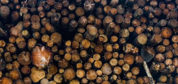 Full frame shot of logs