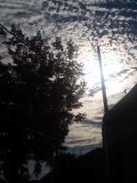 Low angle view of trees against sky