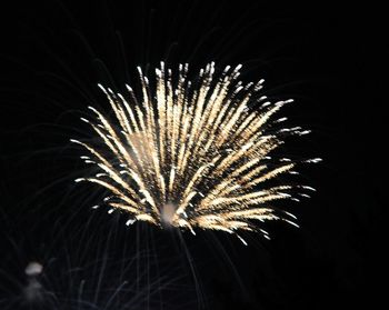 Firework display at night