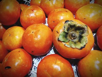 Persimmon.