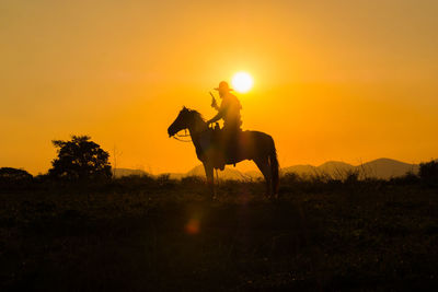 Silhouette horse on field during sunset