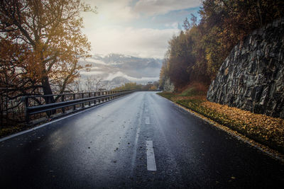 Empty road along trees