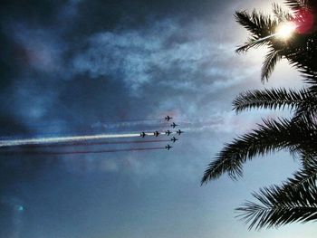 Low angle view of palm trees against cloudy sky