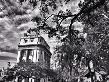 Low angle view of trees against cloudy sky
