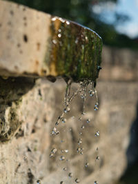 Close-up of water drops on leaf