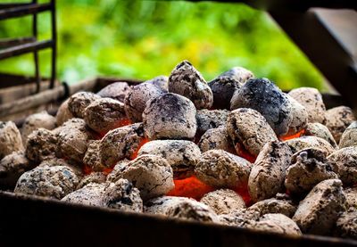 Close-up of rocks