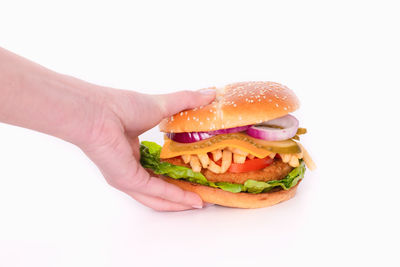 Midsection of person holding ice cream against white background