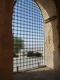 Trees seen through window of building