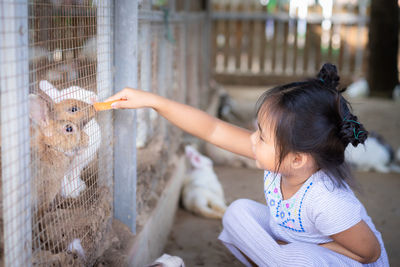 Girl feeding rabbits