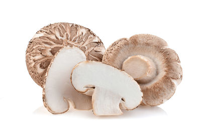 Close-up of mushrooms against white background