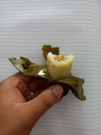 Cropped hand of person holding food