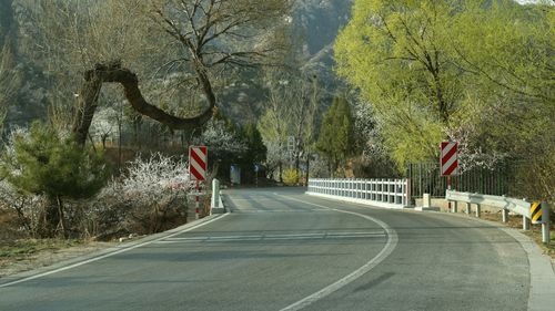 Road passing through country road