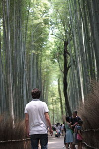 Rear view of man standing in forest