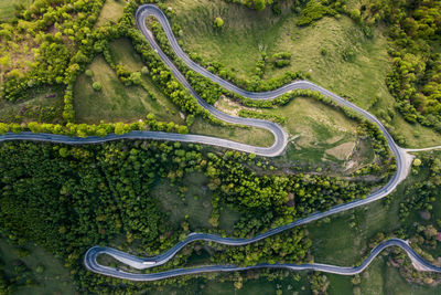 High angle view of road by trees in forest