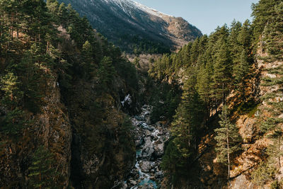 Scenic view of waterfall in forest