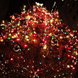 Low angle view of illuminated christmas tree