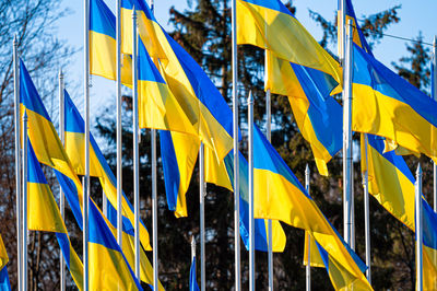 Many national flags of ukraine flutters in the wind