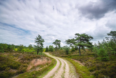 Road amidst trees and plants against sky