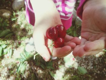 Low section of baby girl holding fruit