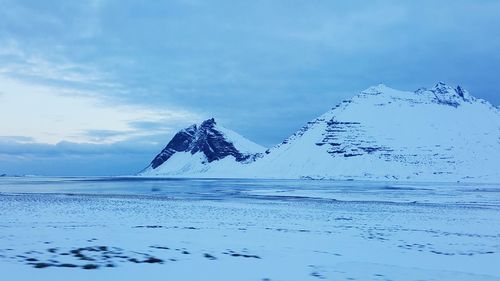Birds flying over beach against sky
