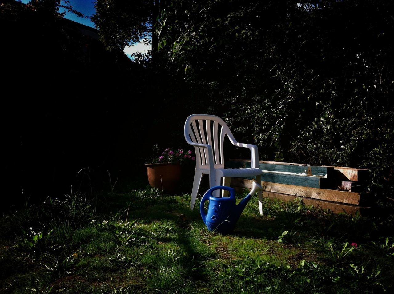 tree, abandoned, grass, chair, obsolete, absence, plant, damaged, old, bench, growth, sunlight, day, empty, front or back yard, field, relaxation, mode of transport, outdoors, transportation