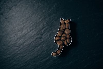 High angle view of leather on table against wall