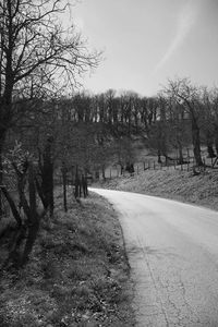 Road passing through trees