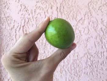 Cropped hand holding lime by wall