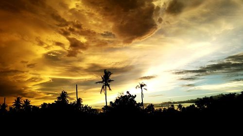 Silhouette trees against sky during sunset