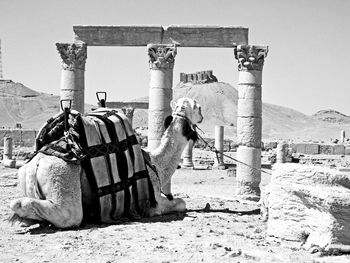 Full frame shot of old building against sky