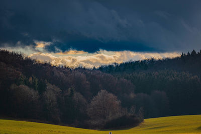 Scenic view of field against sky during sunset