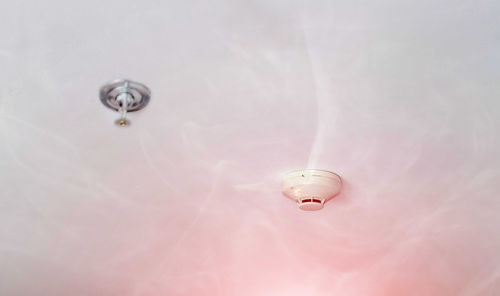 Low angle view of insect on ceiling