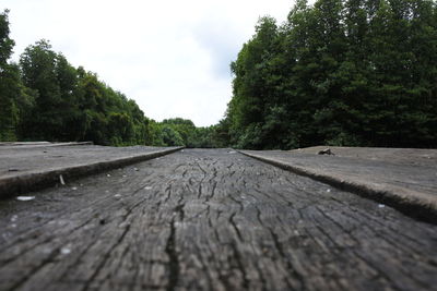 Surface level of footpath amidst trees against sky