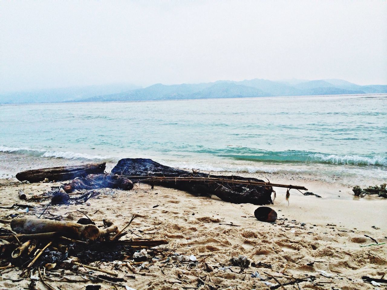 water, beach, sea, shore, clear sky, tranquility, scenics, tranquil scene, sand, nature, beauty in nature, copy space, rock - object, sky, animal themes, stone - object, bird, animals in the wild, day, idyllic