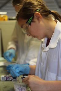 Close-up of girl experimenting in laboratory