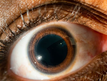 Close-up of human eye