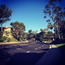 Empty road with trees in background