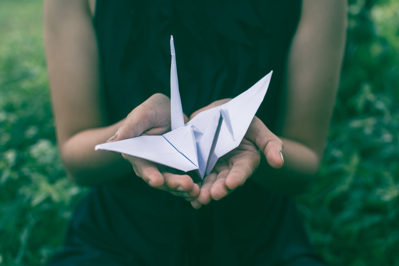 holding, childhood, outdoors, nature, paper, close-up, human hand, day, one person, grass